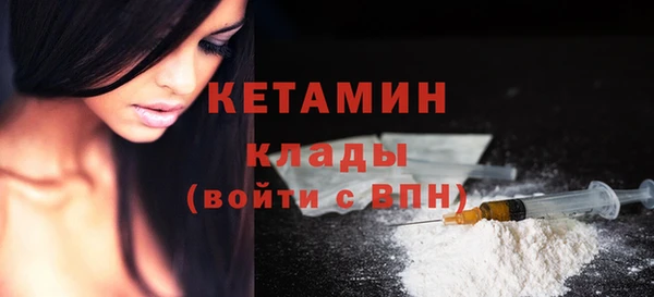 стаф Аркадак