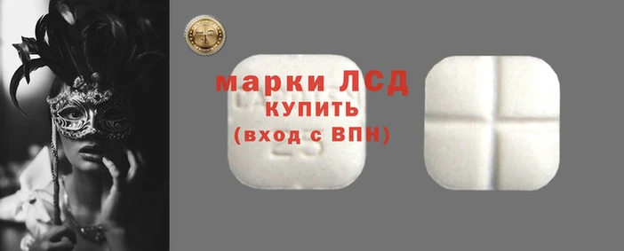 стафф Арсеньев