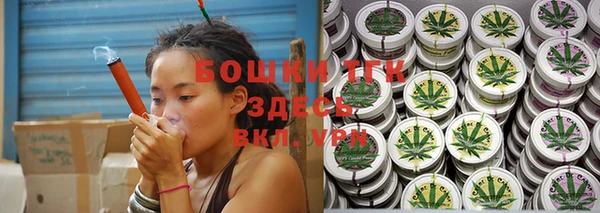 стаф Аркадак