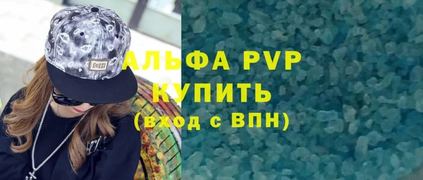 стаф Аркадак
