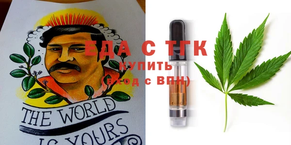 стаф Аркадак