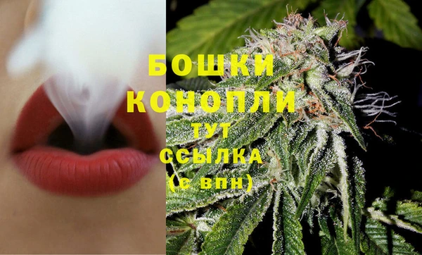 спиды Валдай