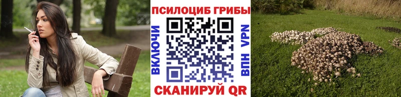 МЕГА ссылки Жуков Псилоцибиновые грибы мухоморы