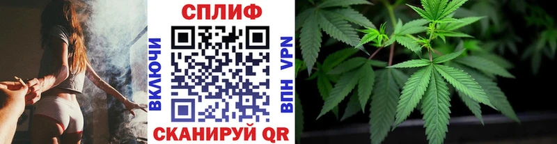 купить  цена  Жуков  Бошки марихуана конопля 